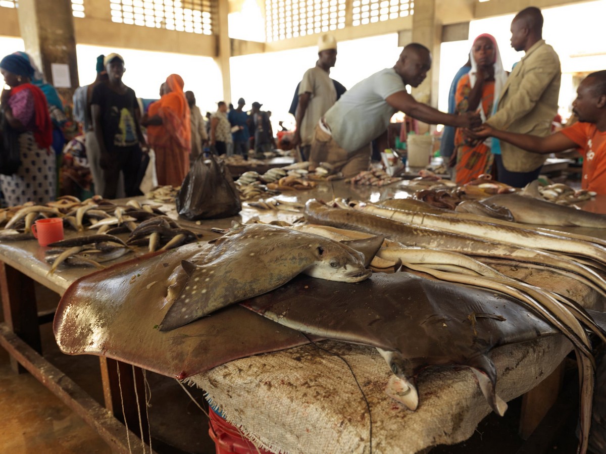В богатом море Танзании становится все меньше рыбы