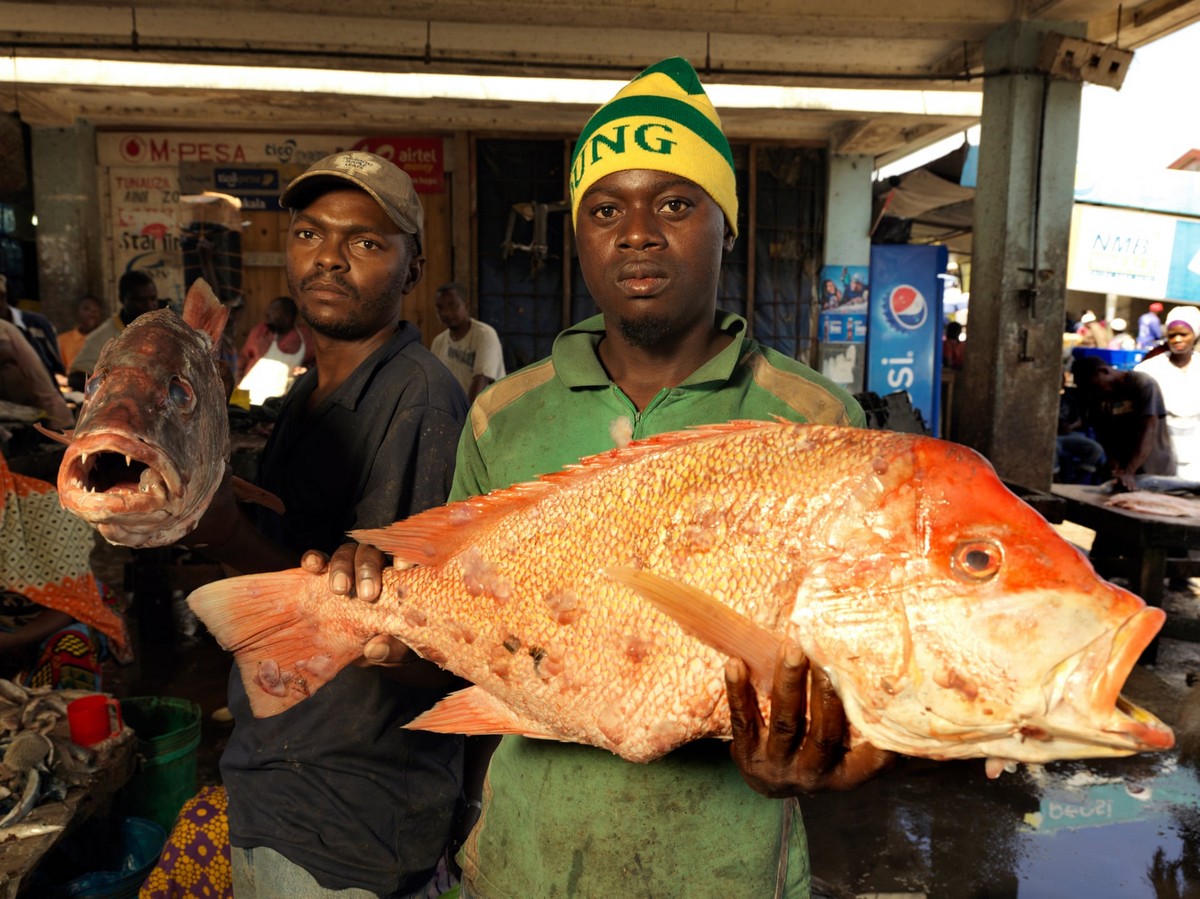 В богатом море Танзании становится все меньше рыбы