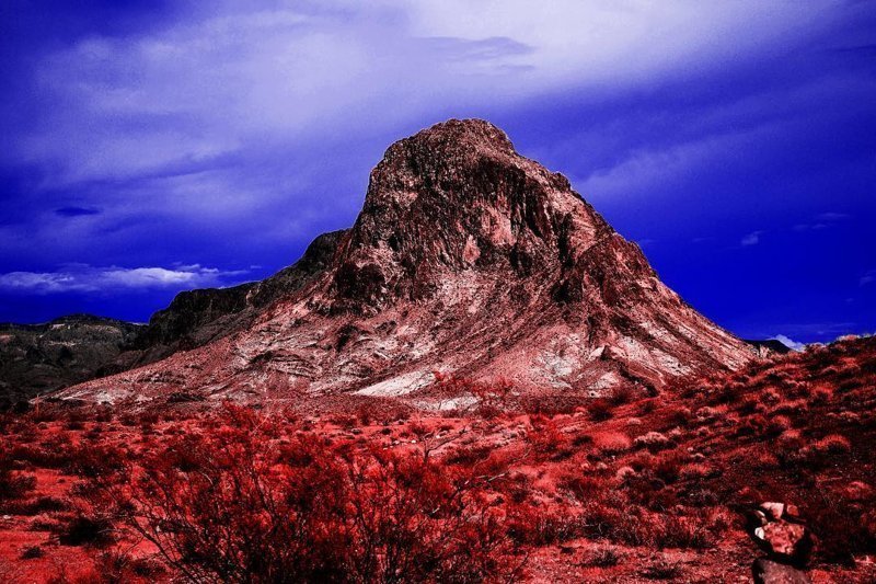 Инфракрасные снимки: обычные пейзажи превращаются в инопланетные