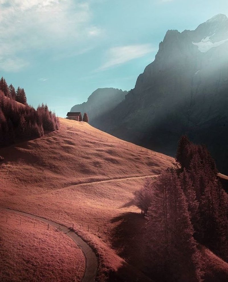 Инфракрасные снимки: обычные пейзажи превращаются в инопланетные