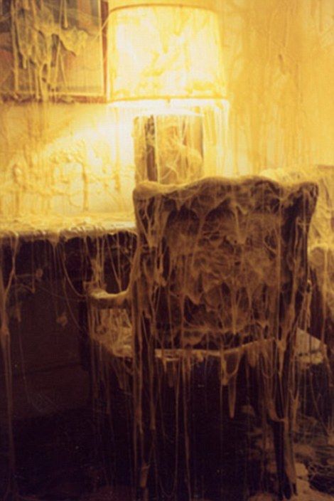 Художник покрывает мебель, комнаты и даже дома расплавленным сыром