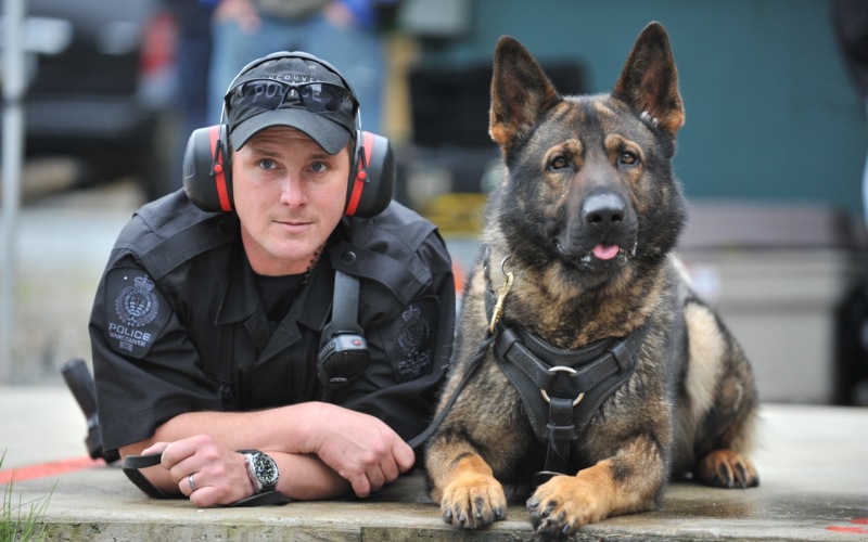 Главные правила подготовки полицейской собаки