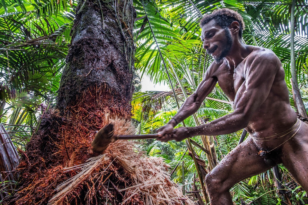Исчезающее племя Короваи в Папуа-Новой Гвинеи