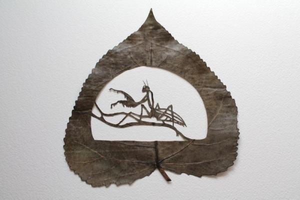 Резьба на листьях от Лоренцо Дюрана
