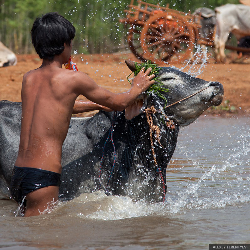 Жизнь Мьянмы на воде в фотографиях 