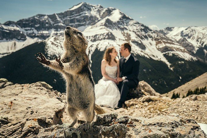 30 запоротых свадебных фото