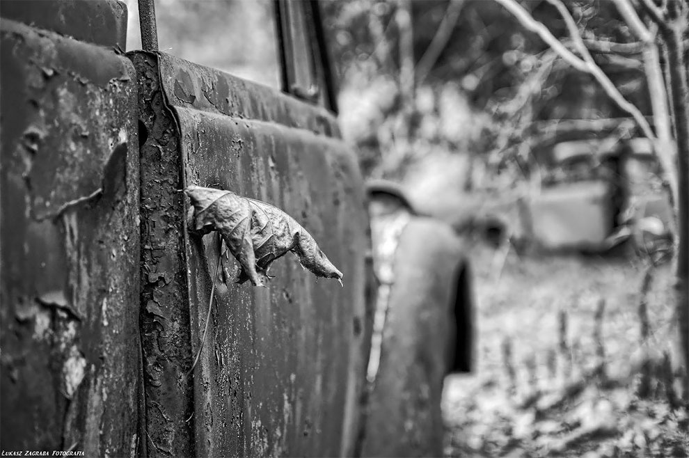 Загадочное автомобильное кладбище в Польше