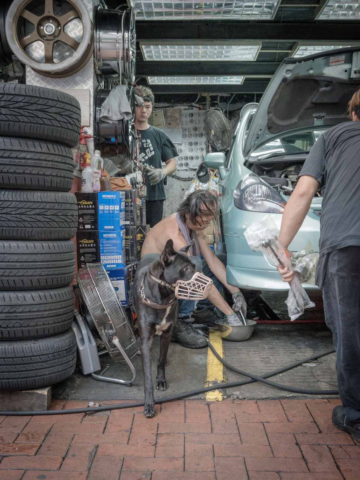 Фотографии собак в гаражах Гонконга