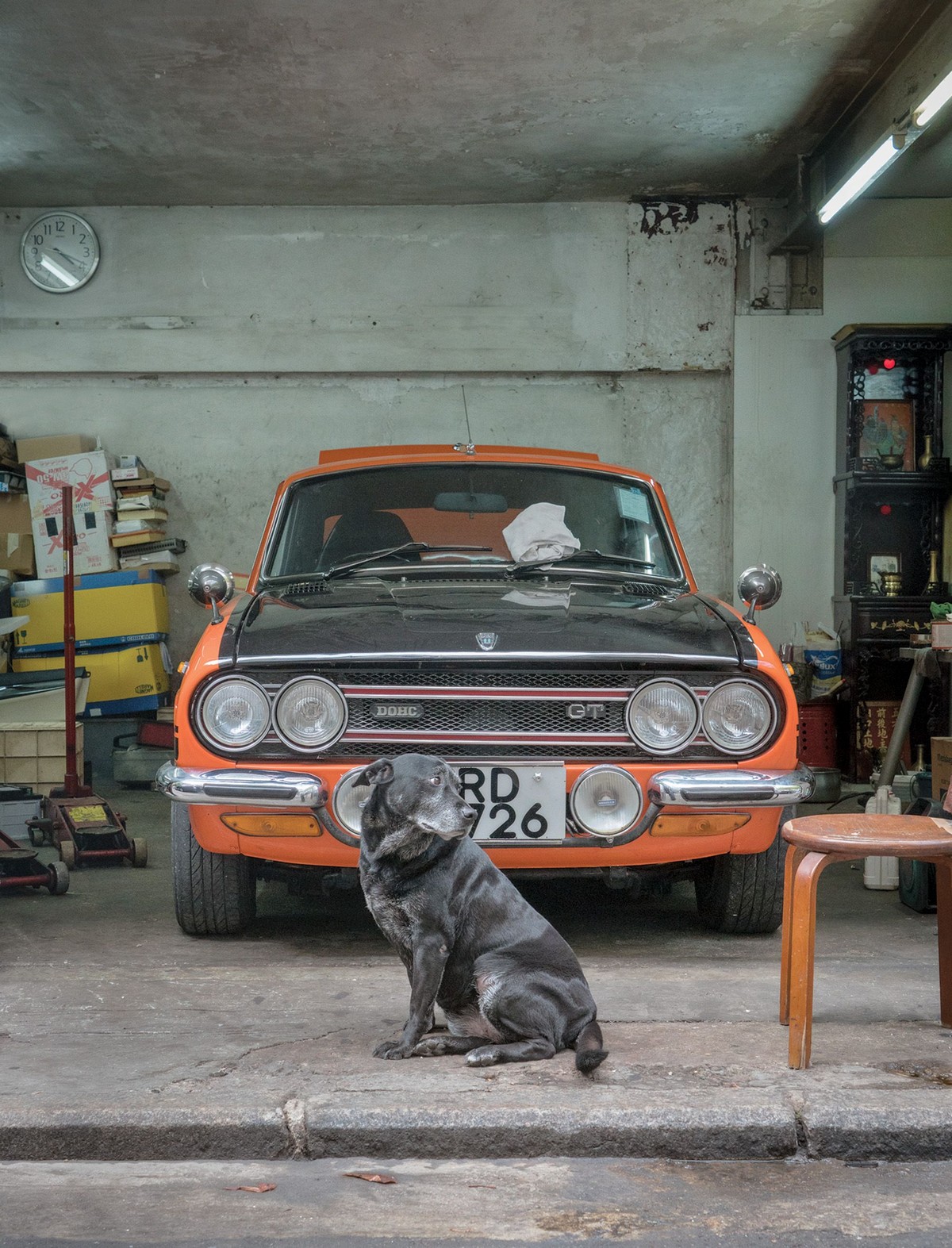 Фотографии собак в гаражах Гонконга