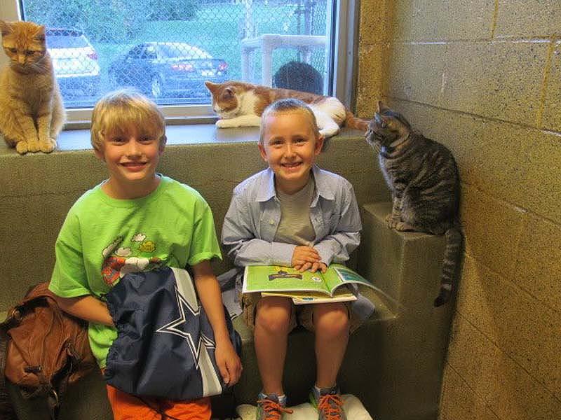 Кошки помогают детям развить навык чтения