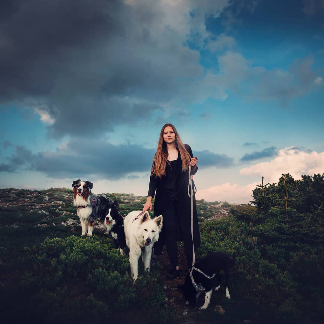 Симпатичные собаки на снимках Кристины Квапиловой