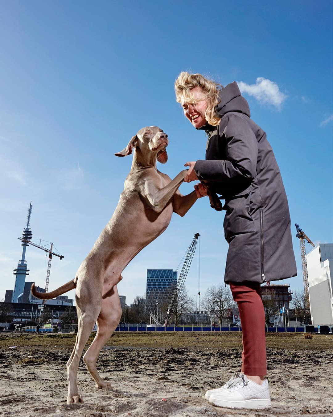 Снимки официального фотографа животных Амстердама