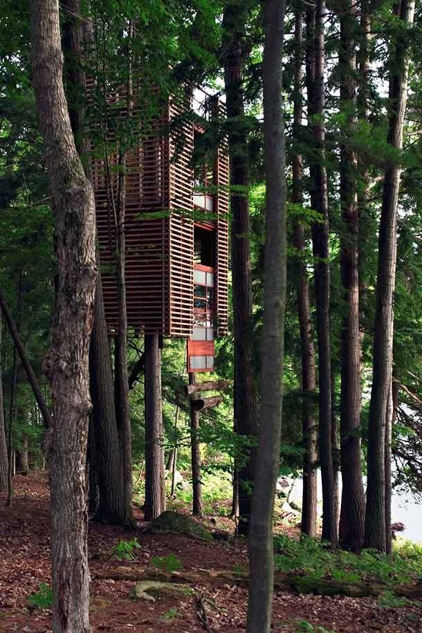 Классные дома на деревьях в разных уголках планеты