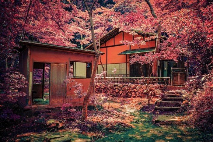 Фотограф Энтони Пресли осуществил мечту детства, побывав в Японии