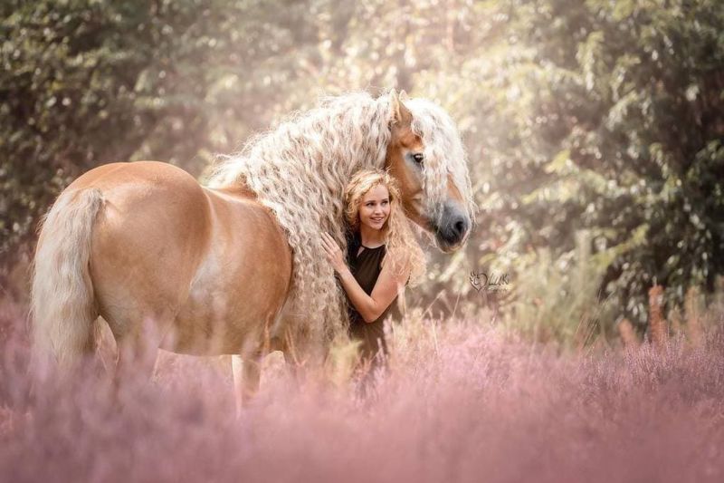 Девушка катается на лошади с роскошной гривой