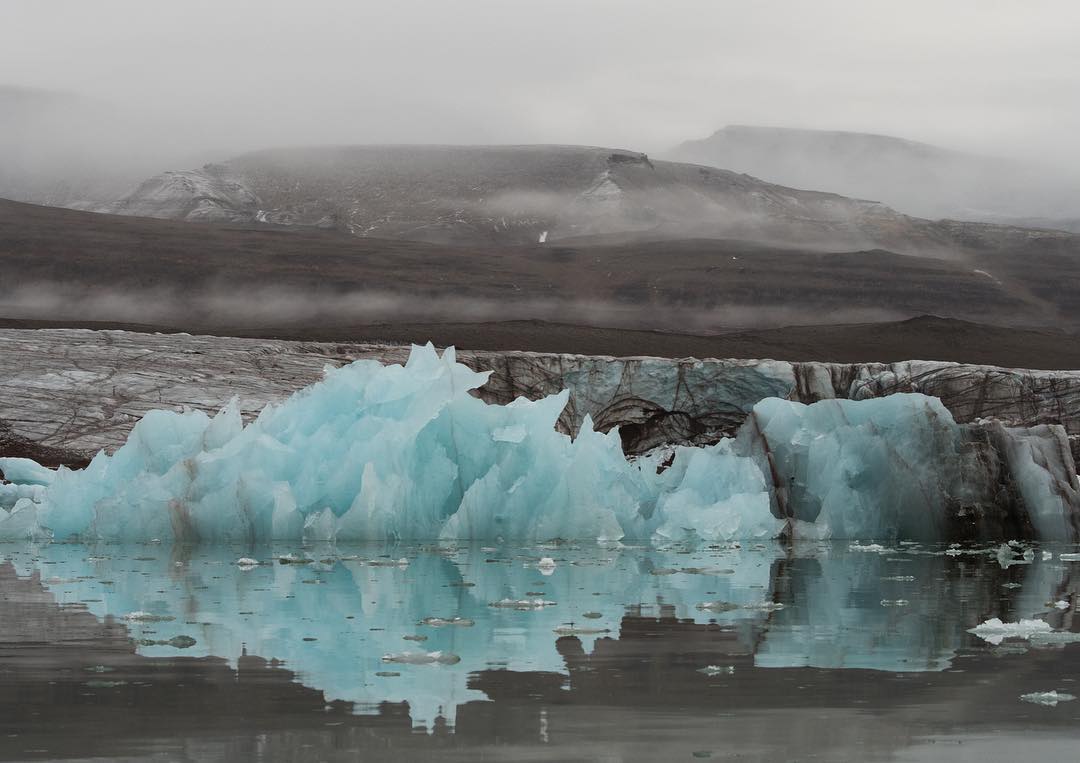 Дикая природа Арктики на снимках Одуна Ли Даля