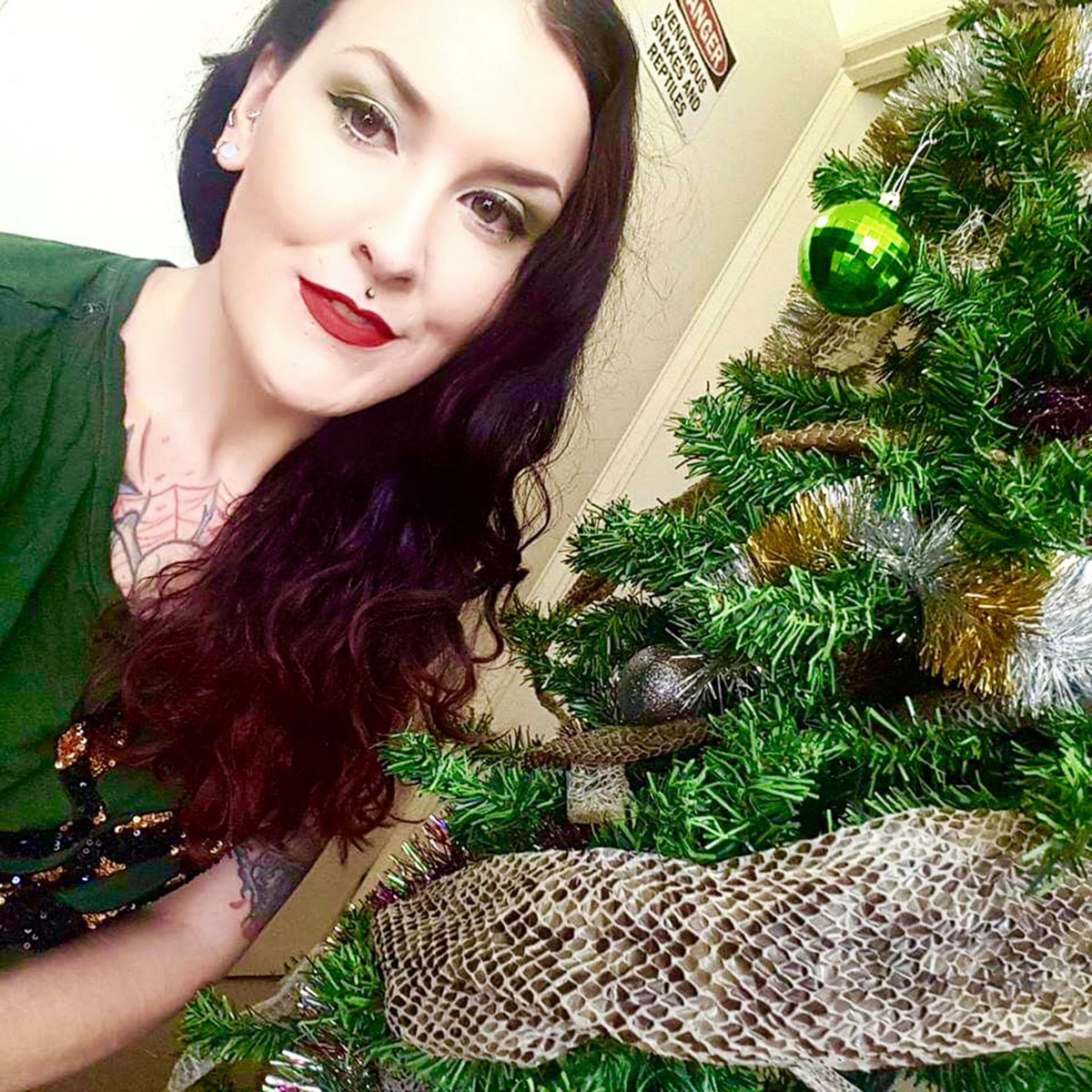 Австралийская пара украсила новогоднюю ёлку шкурами змей