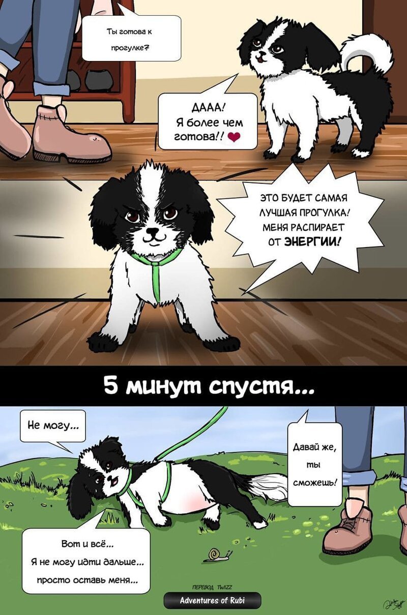 Комиксы про собак. Комикс щенок. Комиксы про жизнь с собакой. Комиксы породы собак. Готов гулять