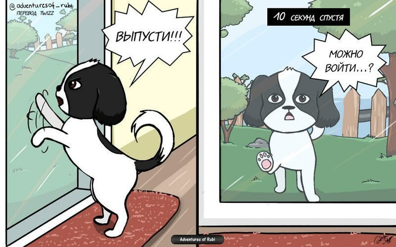 17 комиксов о жизни собачки Руби