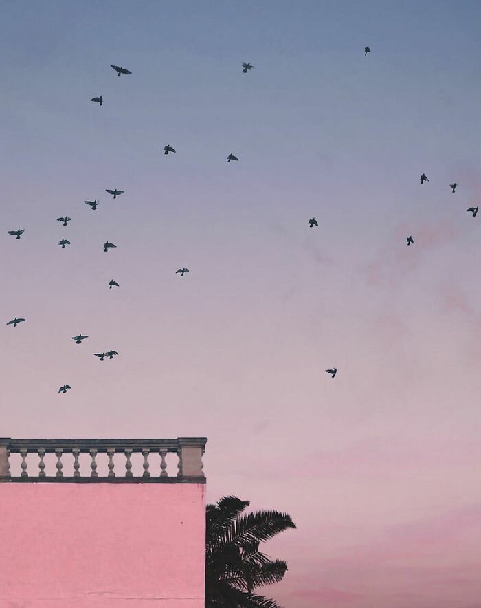 Бесконечность лета в минималистских снимках Андреа Панкрацци