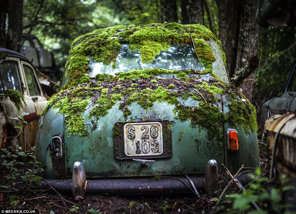 Кладбище автомобилей в лесах на юге Швеции 