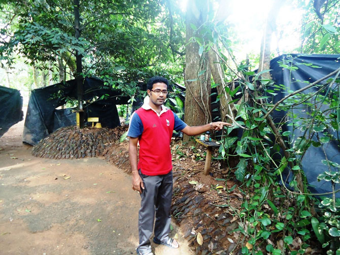 Сад специй в Шри-Ланке