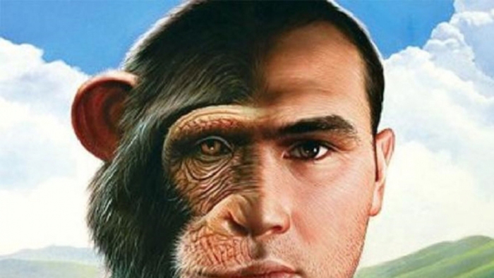Опыты советского биолога по скрещиванию человека с обезьяной