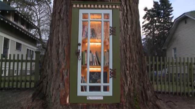 Миниатюрная библиотека из старого 110-летнего дерева