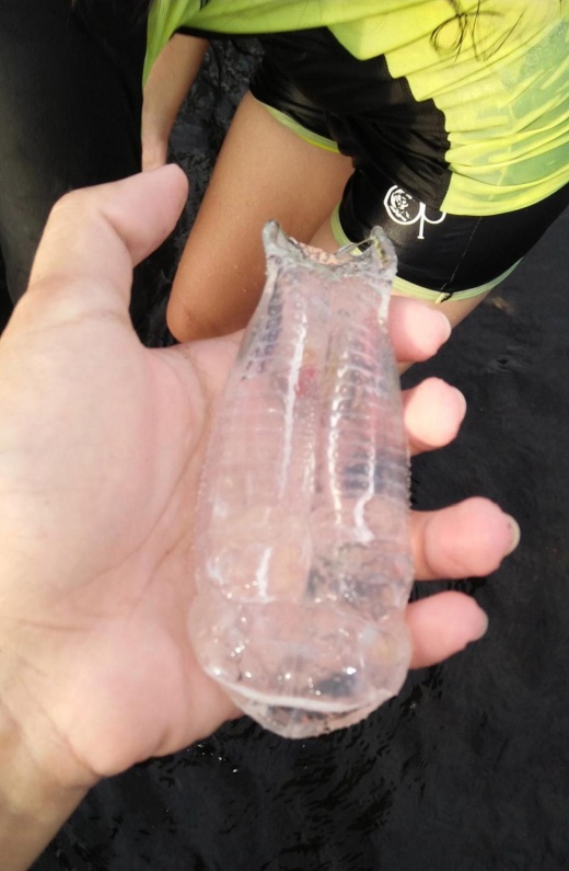Жительница Филиппин нашла на берегу странное существо