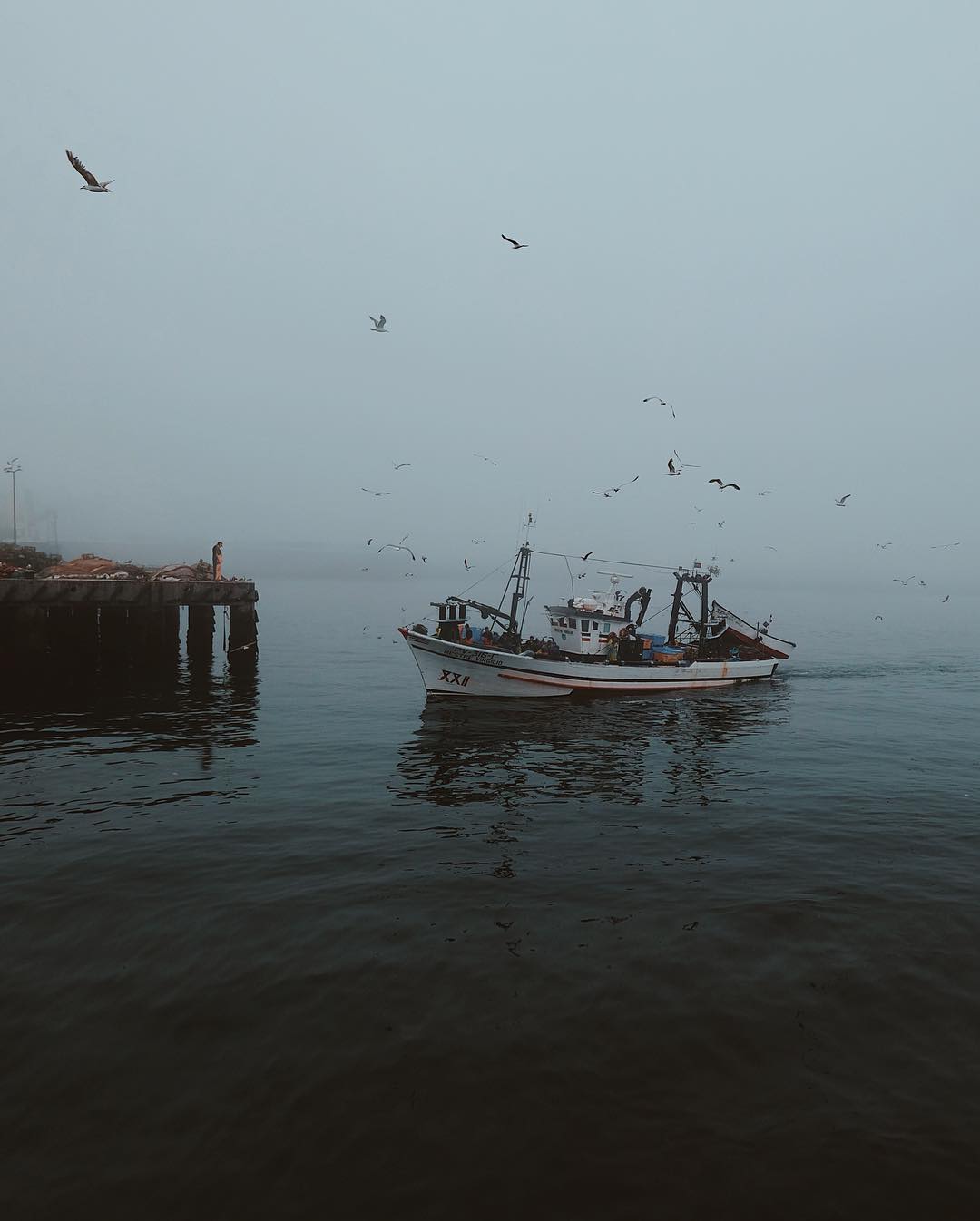 Корабли и рыбацкие лодки на снимках Жоао Бернардино