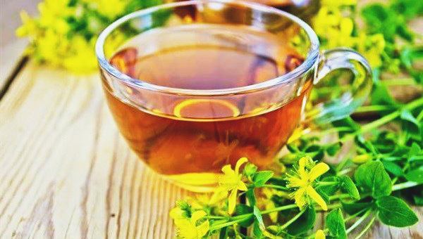 5 ароматных растений для травяного чая