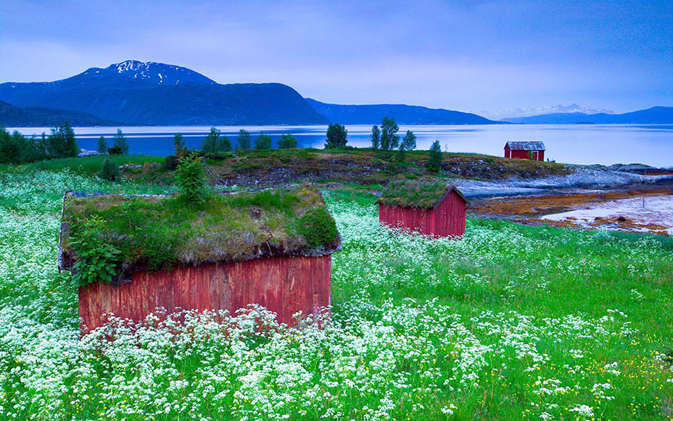 Скандинавские домики с заросшей крышей, в которых хочется поселиться