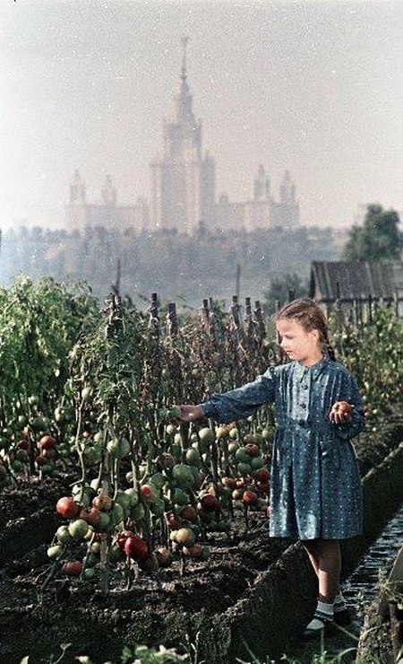 Архивные исторические снимки из прошлого