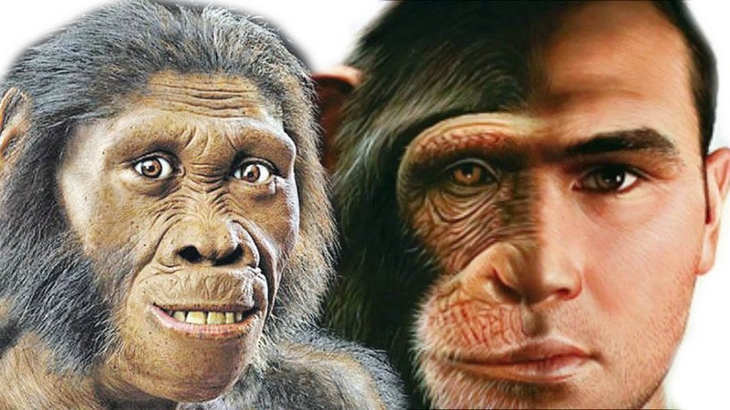 Мифы и реальность в эволюции человека