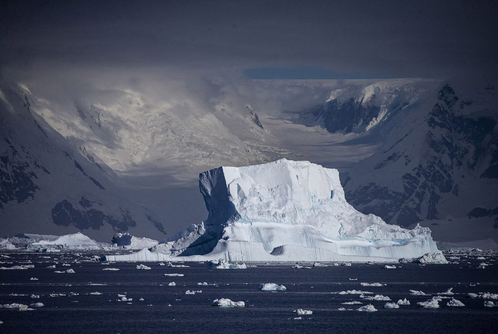 Путешествие в Антарктиду на снимках