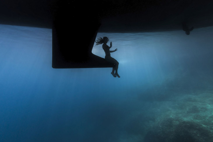 Победители фотоконкурса Underwater Photographer of the Year 2019