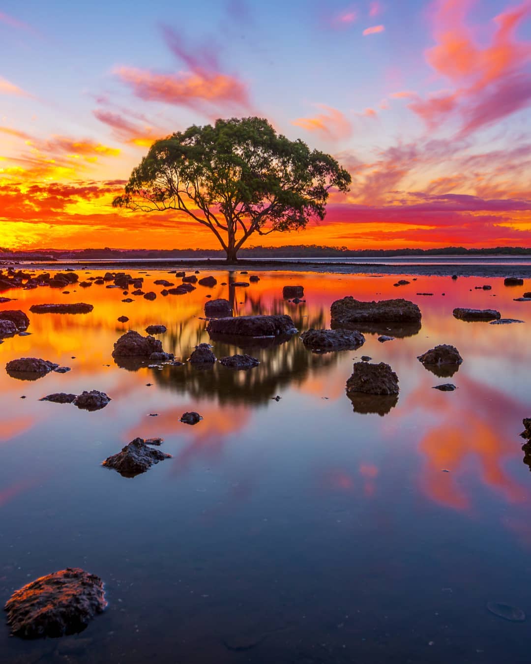 Природные и городские пейзажи Австралии от Митчелла Петтигрю