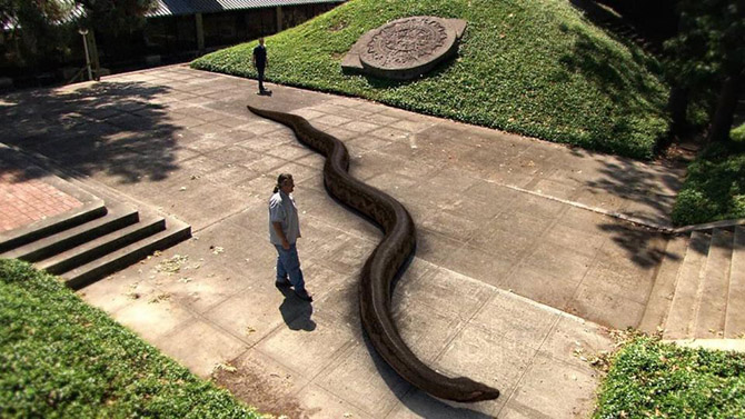 Титанобоа – древняя змея-монстр