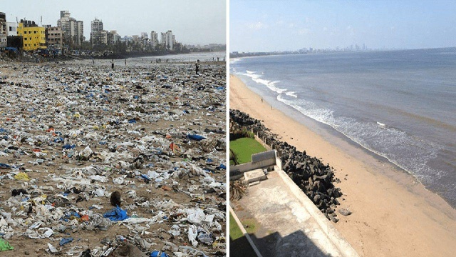 Челлендж #trashtag становится популярным во всем мире