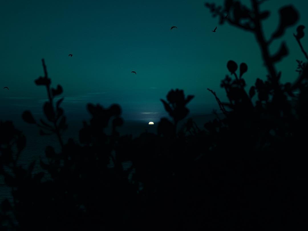 Красота ночи на снимках Нила Крышака