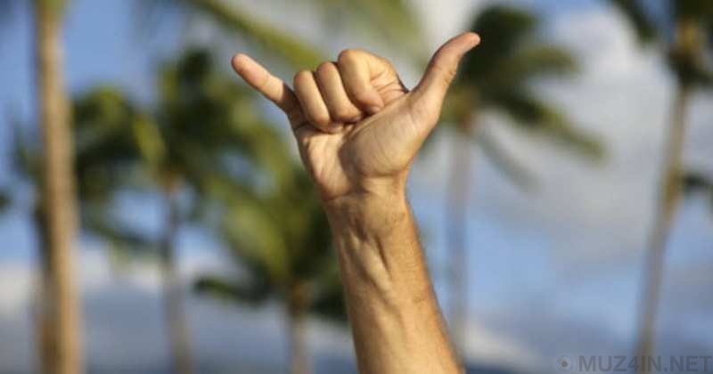 Общепринятые жесты руками, которые могут иметь разные значения
