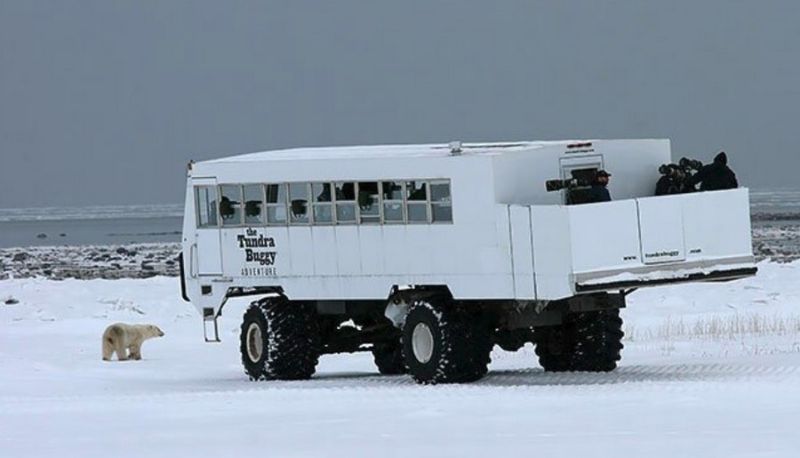 Отель на колесах для покатушек по Арктике