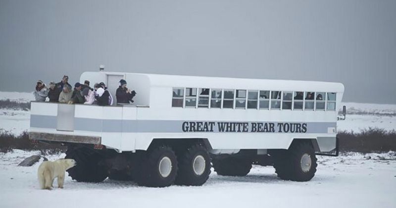 Отель на колесах для покатушек по Арктике