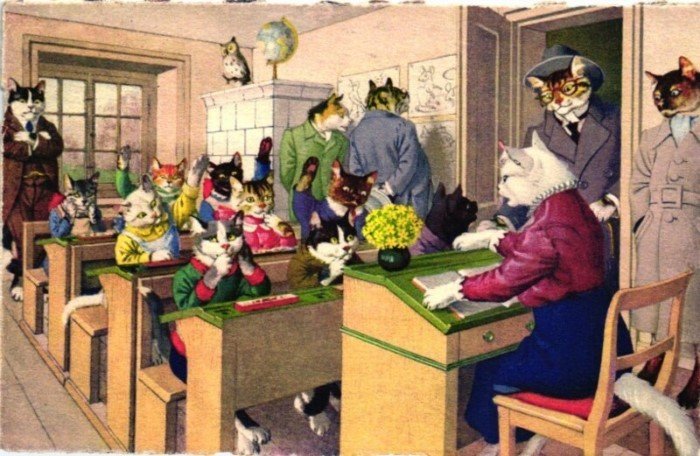 Немецкие ученые котики на старых открытках