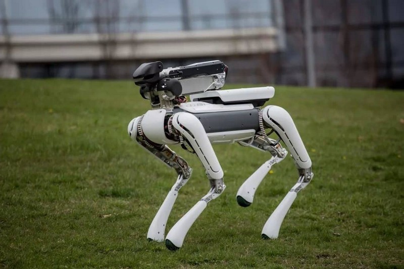 10 самых необычных роботов