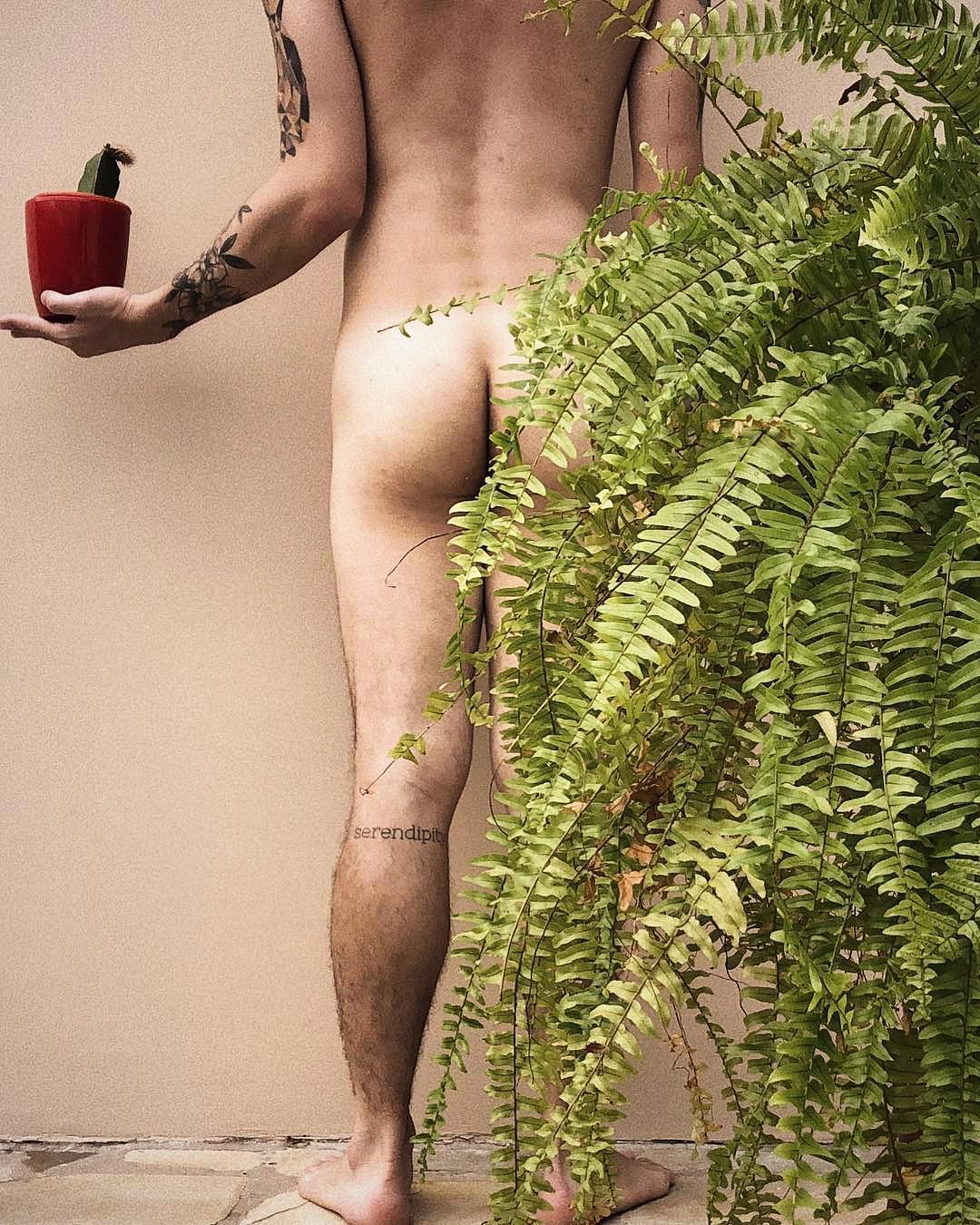 Популярный Instagram-аккаунт с полуголыми мужчинами и растениями