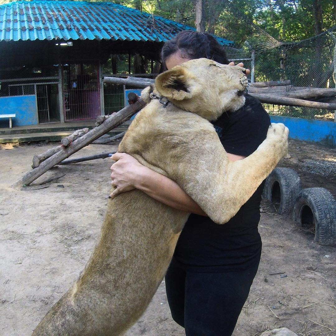 19 животных, которые просто обожают обниматься
