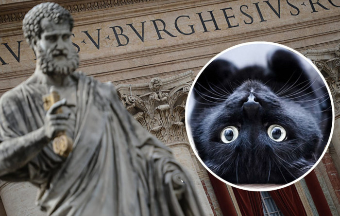 Католическая церковь не любила котов в Средние века