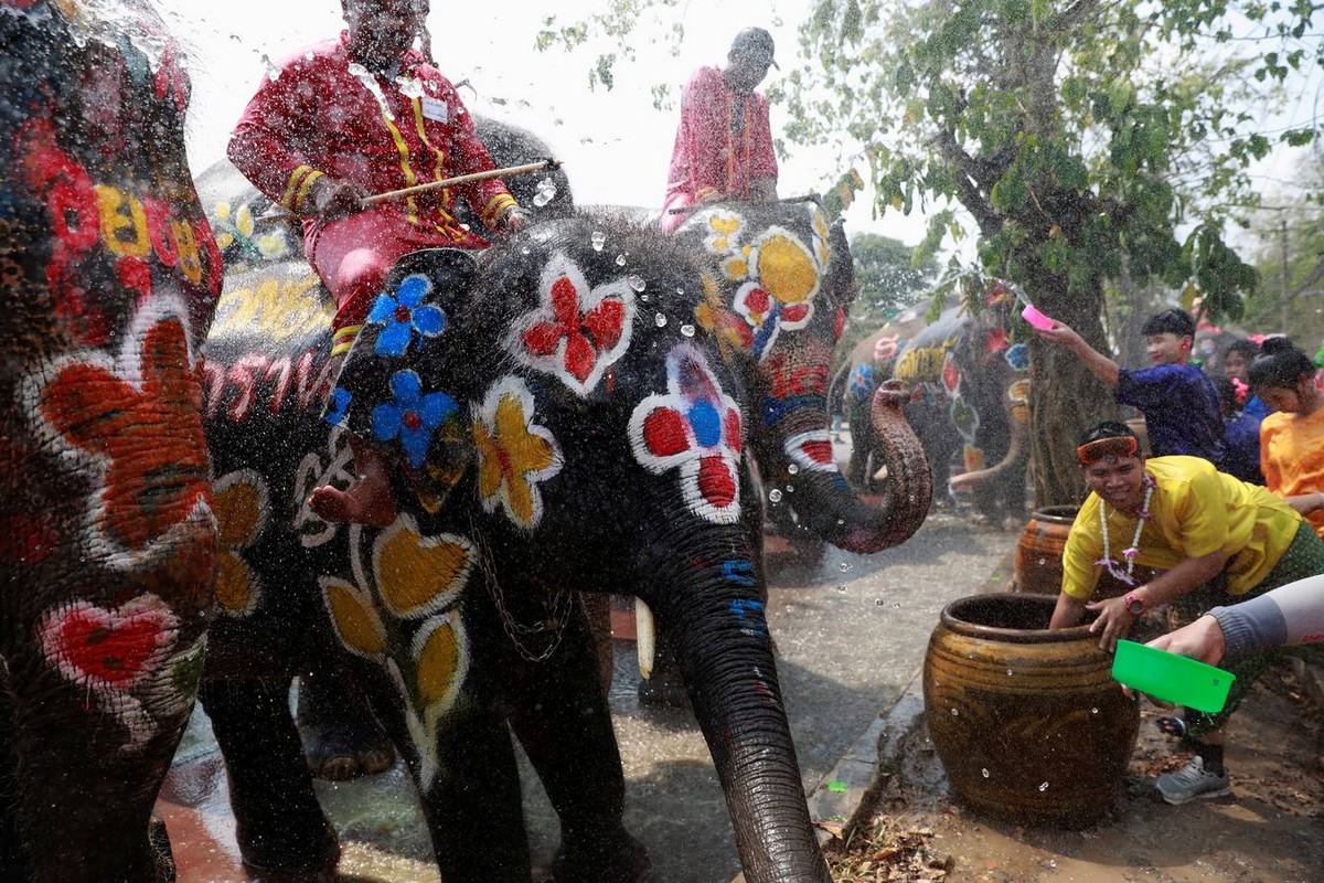 Слоны на фестивале воды в Таиланде