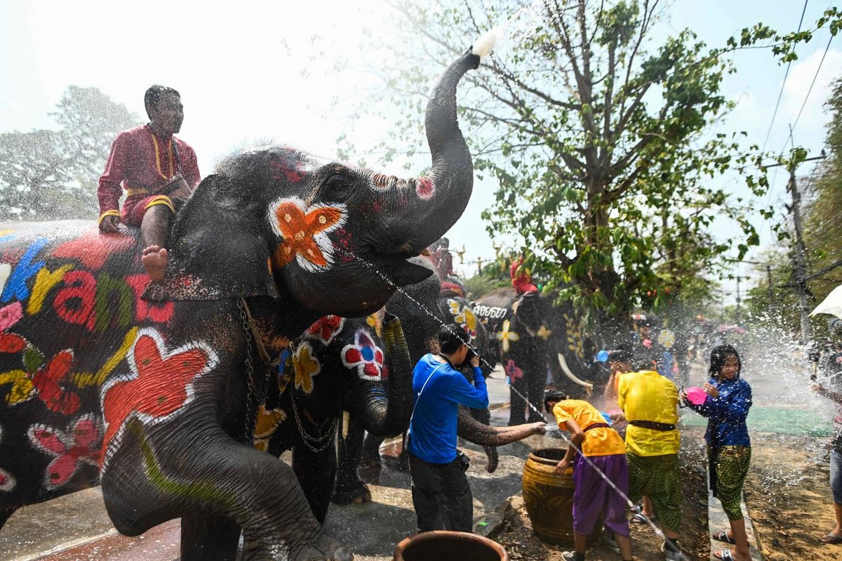 Слоны на фестивале воды в Таиланде